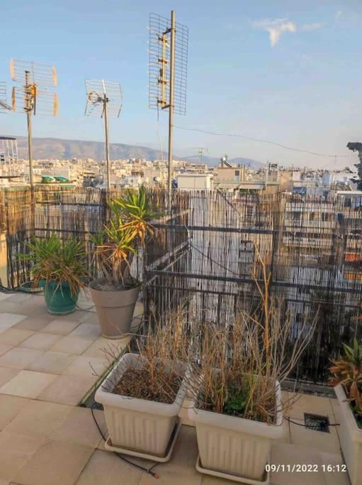 דירה Spacious Private Rooftop Studio, Mountain And Sea View אתונה