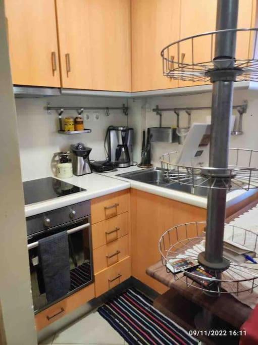דירה Spacious Private Rooftop Studio, Mountain And Sea View אתונה